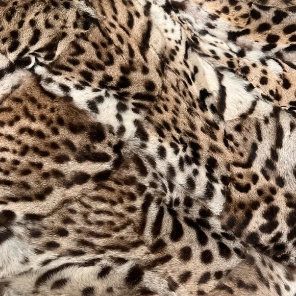 REAL rare Fur leopard print coat with fur collar in excellent condition - Picture 3 of 5